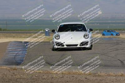 media/May-03-2024-PCA Central Coast (Fri) [[eaa7da0ee1]]/Yellow Group/Session 1 (Grapevine)/